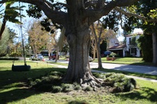 Enlarge photo 72