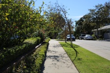 Enlarge photo 83