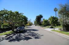 Palisades Streets