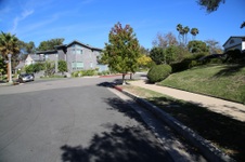 Enlarge photo 30
