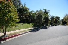 Enlarge photo 31