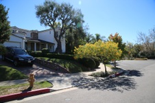 Enlarge photo 33
