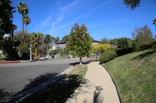 Enlarge photo 35