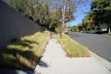 Enlarge photo 41