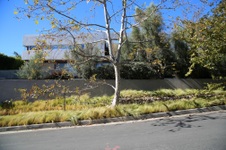 Enlarge photo 48