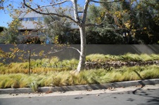 Enlarge photo 50