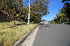 Enlarge photo 52