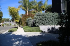 Enlarge photo 56