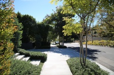 Enlarge photo 57