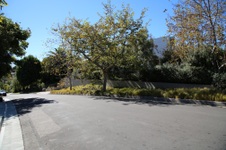 Enlarge photo 58