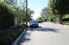 Enlarge photo 65