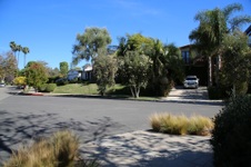 Enlarge photo 68