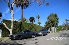 Enlarge photo 76