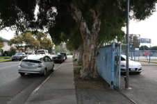 Parks
