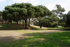 Enlarge photo 5