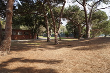 Enlarge photo 11