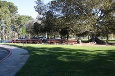 Enlarge photo 30