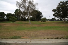 Enlarge photo 45