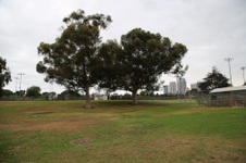 Enlarge photo 46