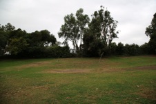 Enlarge photo 52