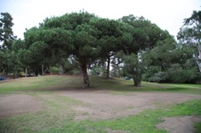 Enlarge photo 57