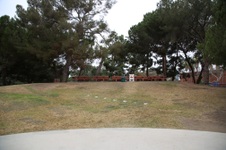 Enlarge photo 66