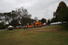 Enlarge photo 73