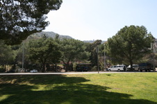 Enlarge photo 13