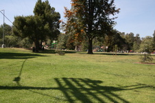 Enlarge photo 16