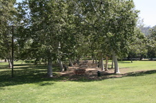 Enlarge photo 20