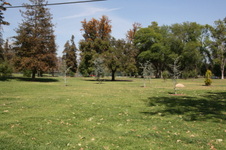 Enlarge photo 22