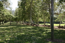 Enlarge photo 25