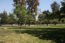 Enlarge photo 27