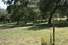 Enlarge photo 29