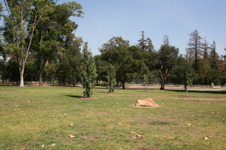 Enlarge photo 30