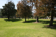 Enlarge photo 32