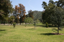 Enlarge photo 33