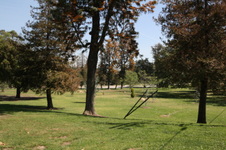 Enlarge photo 35