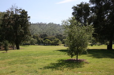 Enlarge photo 37