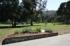 Enlarge photo 41