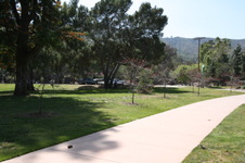 Enlarge photo 46