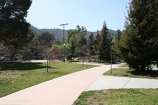 Enlarge photo 47