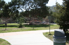 Enlarge photo 48