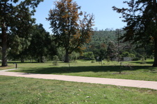 Enlarge photo 49