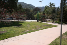 Enlarge photo 52