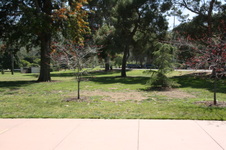 Enlarge photo 53