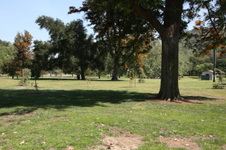 Enlarge photo 55