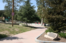 Enlarge photo 59