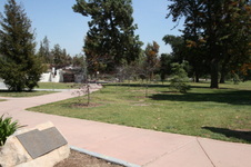Enlarge photo 61
