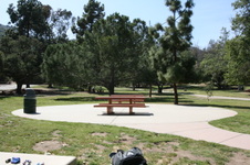 Enlarge photo 63